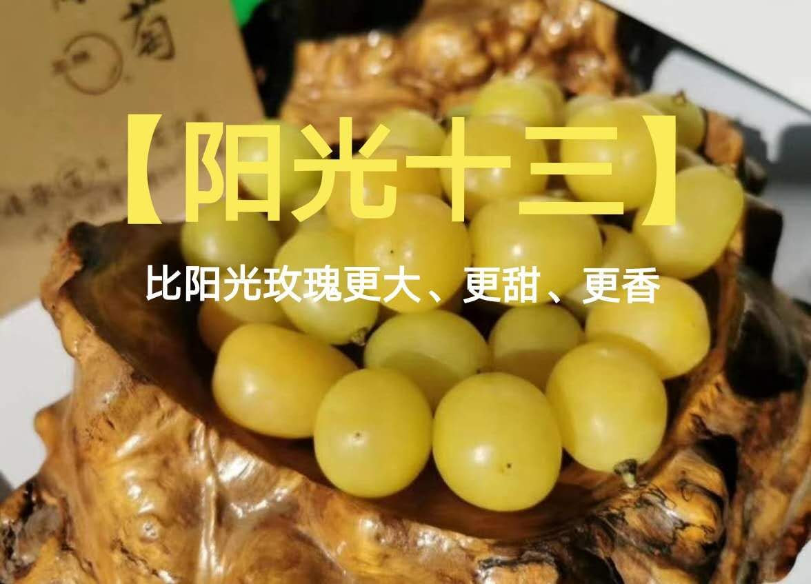 十三